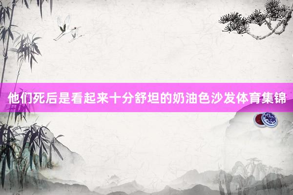 他们死后是看起来十分舒坦的奶油色沙发体育集锦