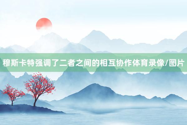 穆斯卡特强调了二者之间的相互协作体育录像/图片