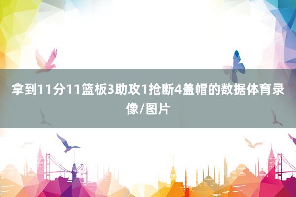 拿到11分11篮板3助攻1抢断4盖帽的数据体育录像/图片