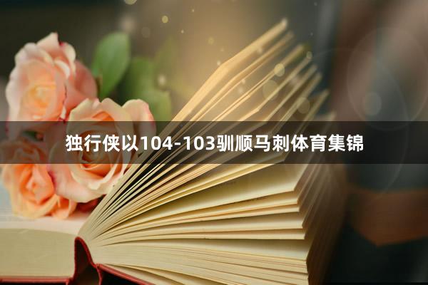 独行侠以104-103驯顺马刺体育集锦