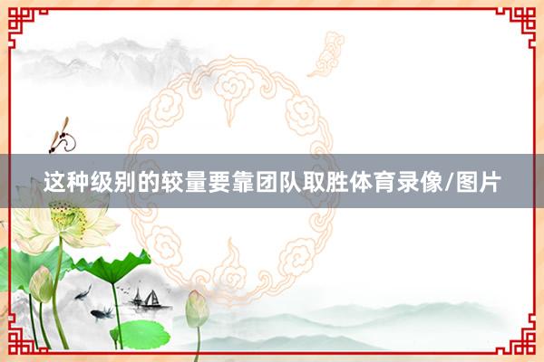 这种级别的较量要靠团队取胜体育录像/图片