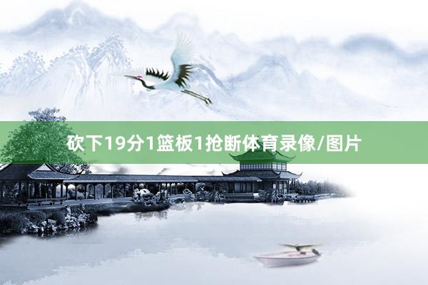 砍下19分1篮板1抢断体育录像/图片