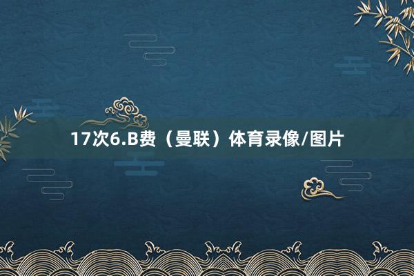 17次6.B费（曼联）体育录像/图片