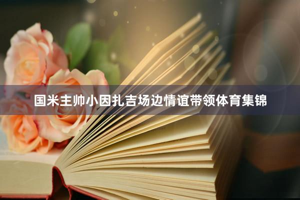 国米主帅小因扎吉场边情谊带领体育集锦