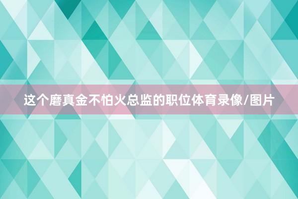 这个磨真金不怕火总监的职位体育录像/图片