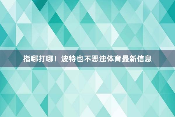 指哪打哪！波特也不恶浊体育最新信息