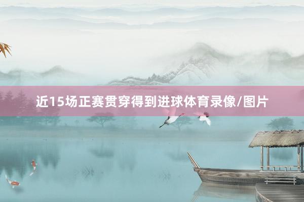 近15场正赛贯穿得到进球体育录像/图片