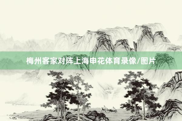 梅州客家对阵上海申花体育录像/图片