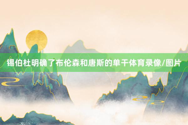 锡伯杜明确了布伦森和唐斯的单干体育录像/图片