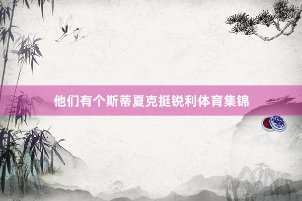 他们有个斯蒂夏克挺锐利体育集锦