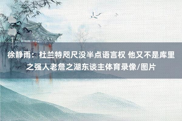 徐静雨：杜兰特咫尺没半点语言权 他又不是库里之强人老詹之湖东谈主体育录像/图片