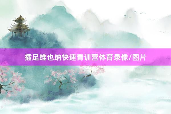 插足维也纳快速青训营体育录像/图片