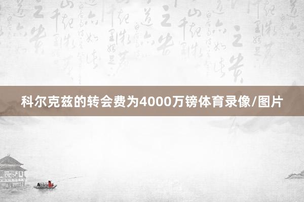 科尔克兹的转会费为4000万镑体育录像/图片