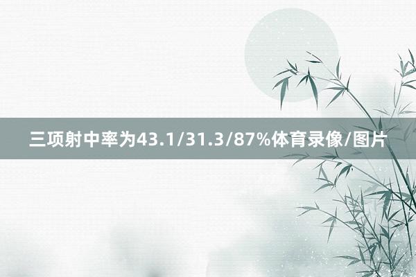 三项射中率为43.1/31.3/87%体育录像/图片