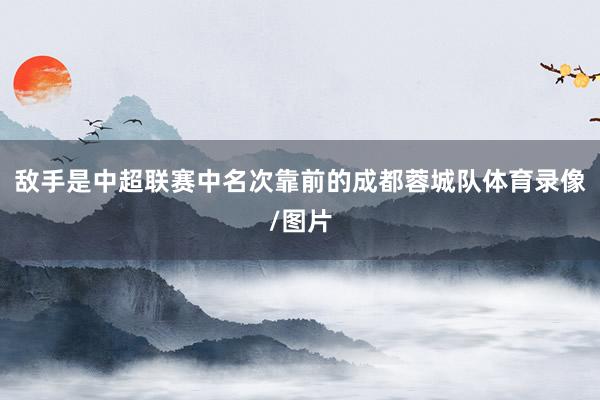 敌手是中超联赛中名次靠前的成都蓉城队体育录像/图片