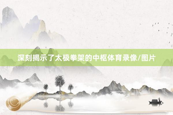 深刻揭示了太极拳架的中枢体育录像/图片