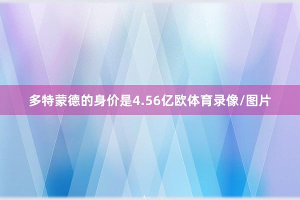 多特蒙德的身价是4.56亿欧体育录像/图片