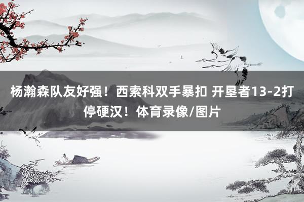杨瀚森队友好强！西索科双手暴扣 开垦者13-2打停硬汉！体育录像/图片