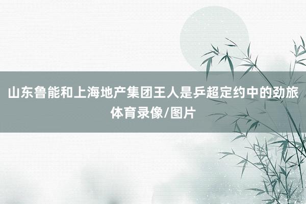 山东鲁能和上海地产集团王人是乒超定约中的劲旅体育录像/图片