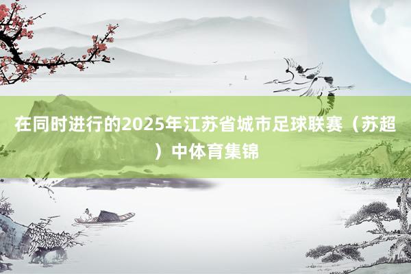 在同时进行的2025年江苏省城市足球联赛（苏超）中体育集锦