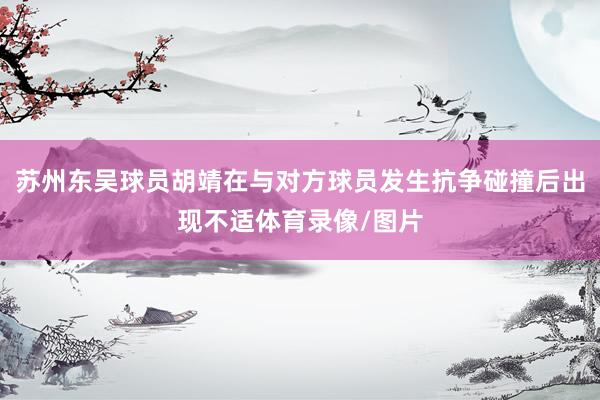 苏州东吴球员胡靖在与对方球员发生抗争碰撞后出现不适体育录像/图片