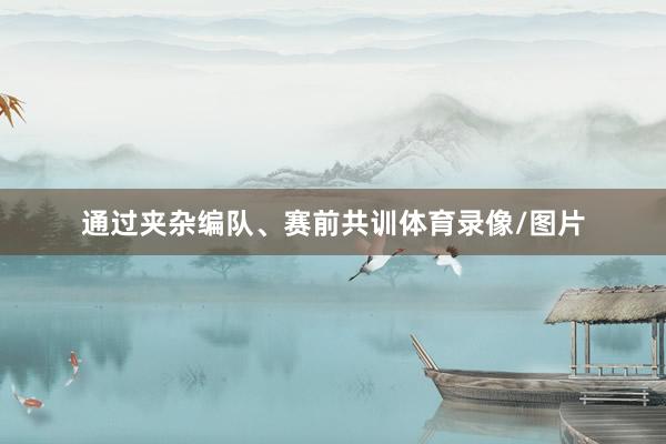 通过夹杂编队、赛前共训体育录像/图片