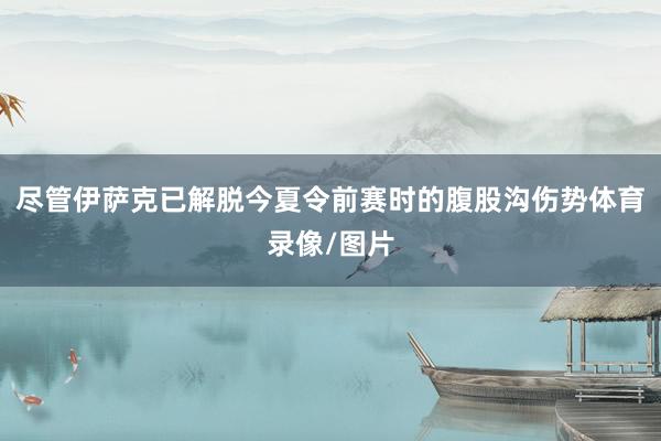 尽管伊萨克已解脱今夏令前赛时的腹股沟伤势体育录像/图片