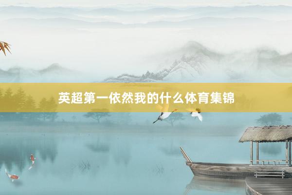 英超第一依然我的什么体育集锦
