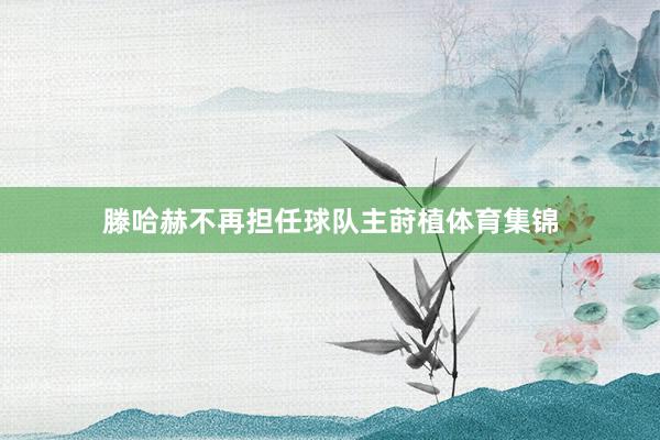 滕哈赫不再担任球队主莳植体育集锦