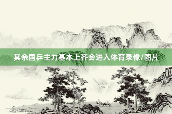 其余国乒主力基本上齐会进入体育录像/图片