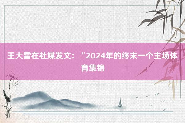 王大雷在社媒发文：“2024年的终末一个主场体育集锦