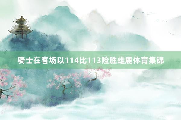 骑士在客场以114比113险胜雄鹿体育集锦