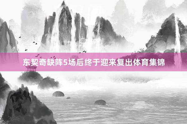 东契奇缺阵5场后终于迎来复出体育集锦