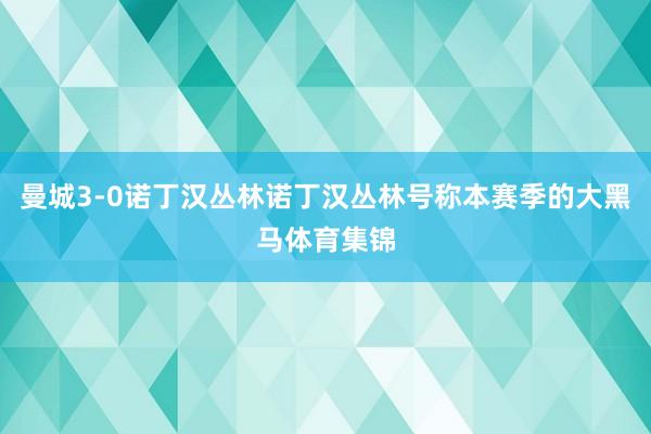 曼城3-0诺丁汉丛林诺丁汉丛林号称本赛季的大黑马体育集锦