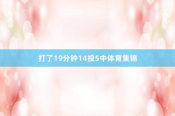 打了19分钟14投5中体育集锦