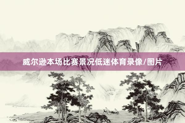 威尔逊本场比赛景况低迷体育录像/图片