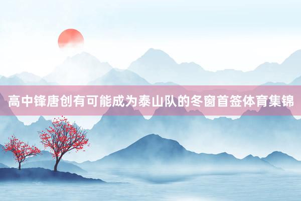 高中锋唐创有可能成为泰山队的冬窗首签体育集锦
