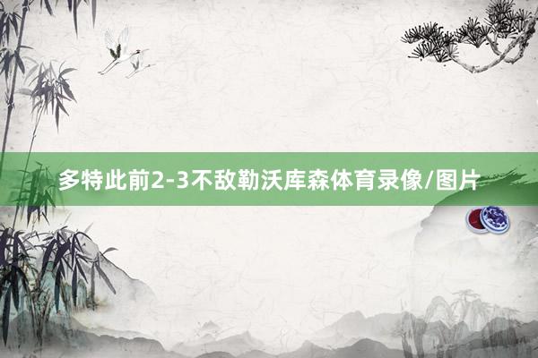 多特此前2-3不敌勒沃库森体育录像/图片