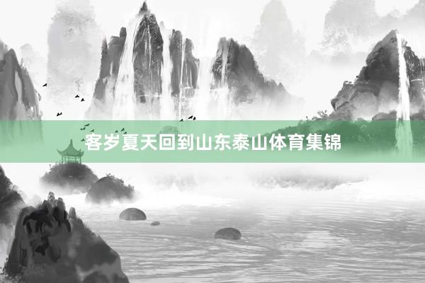 客岁夏天回到山东泰山体育集锦