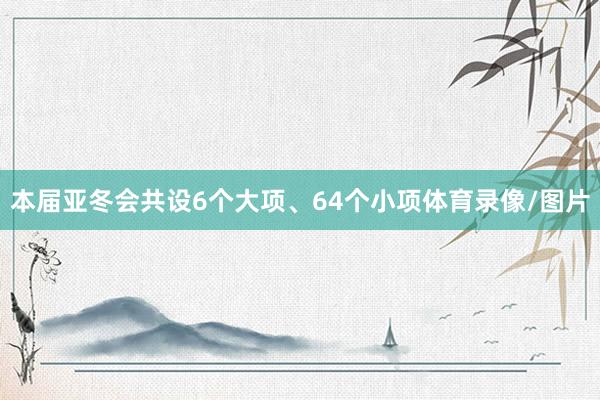 本届亚冬会共设6个大项、64个小项体育录像/图片