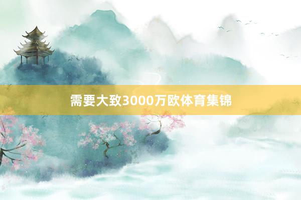 需要大致3000万欧体育集锦