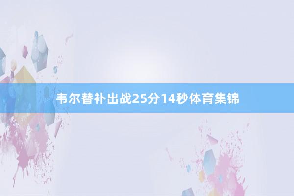 韦尔替补出战25分14秒体育集锦