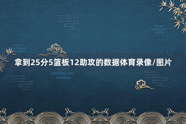 拿到25分5篮板12助攻的数据体育录像/图片